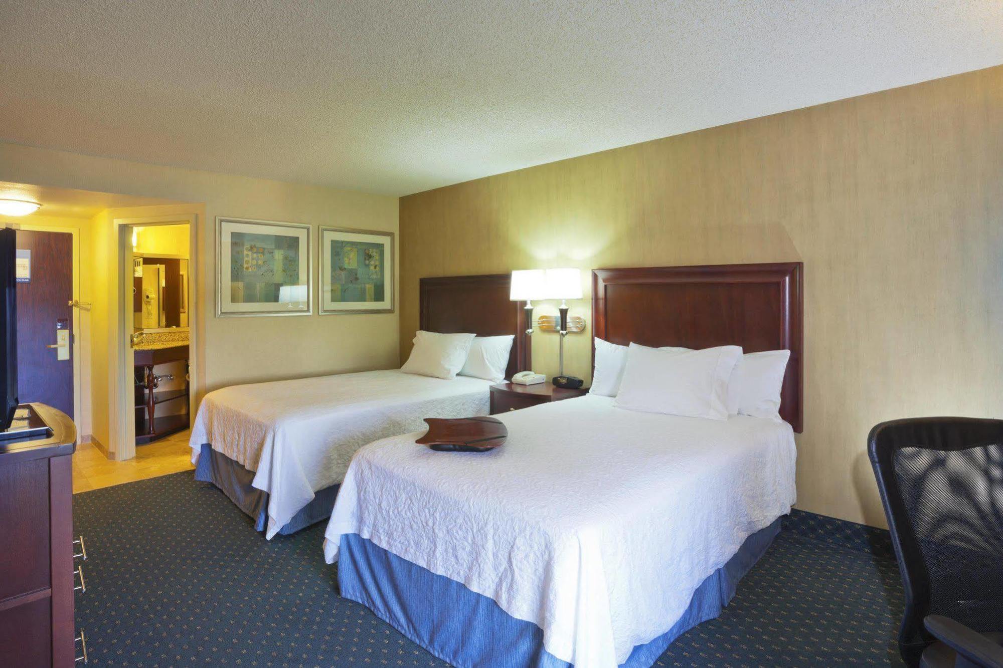 Hampton Inn Seattle Airport SeaTac Habitación foto